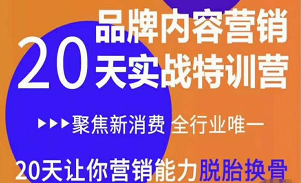 《内容营销实操特训营》20天让你营销能力脱胎换骨-梦羽网络知识库