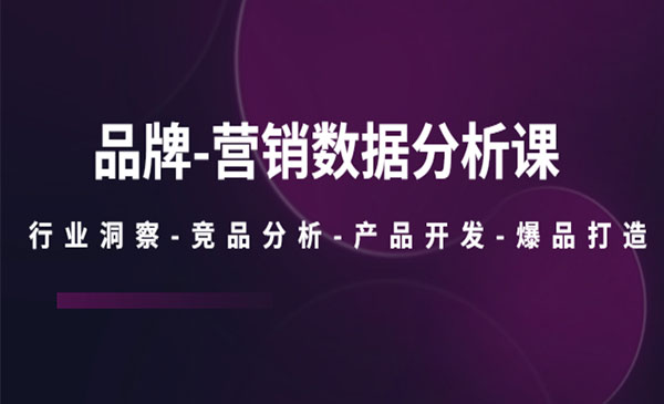 《品牌营销数据分析课》行业洞察-竞品分析-产品开发-爆品打造-梦羽网络知识库