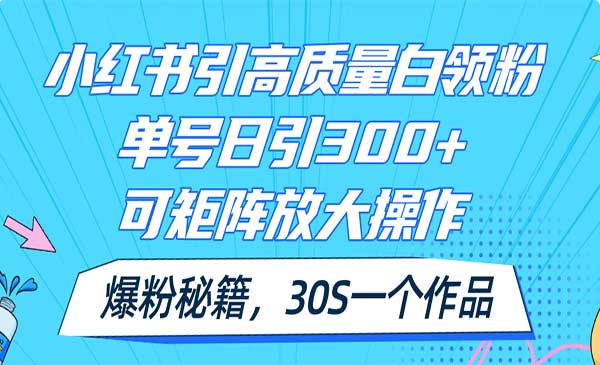 小红书引高质量白领粉-梦羽网络知识库