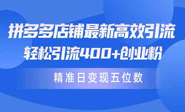 拼多多店铺高效引流术-梦羽网络知识库