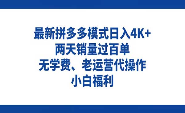 拼多多最新模式,两天销量过百单-梦羽网络知识库