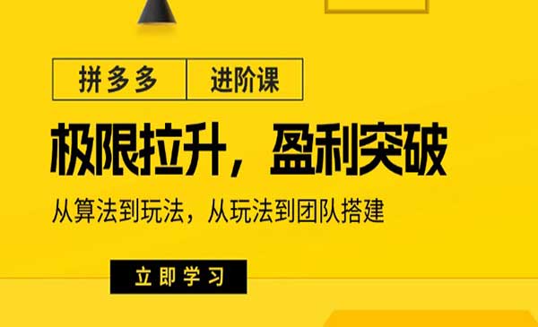 拼多多进阶课极限拉升盈利突破-梦羽网络知识库