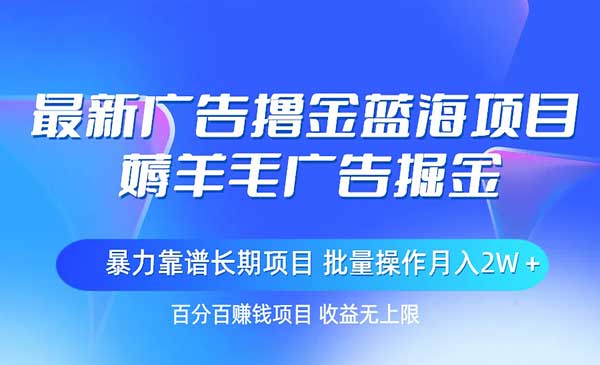 最新广告撸金蓝海项目，薅羊毛广告掘金-梦羽网络知识库