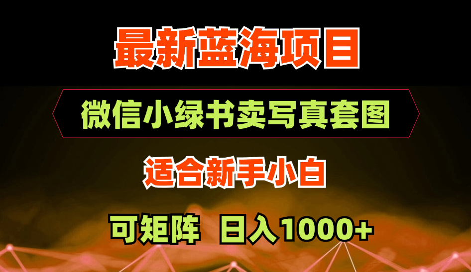 最新蓝海项目：微信小绿书卖美女套图，合适新手小白-梦羽网络知识库